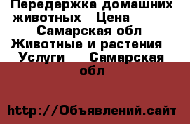 Передержка домашних животных › Цена ­ 200 - Самарская обл. Животные и растения » Услуги   . Самарская обл.